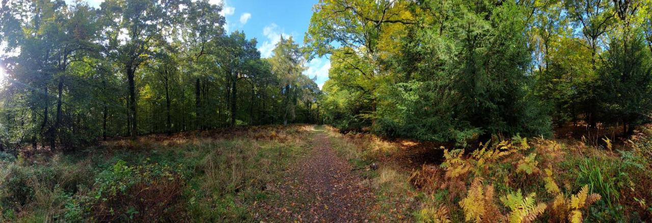The Beehive - Self Catering In The Heart Of The Forest Of Dean Whitecroft Екстер'єр фото